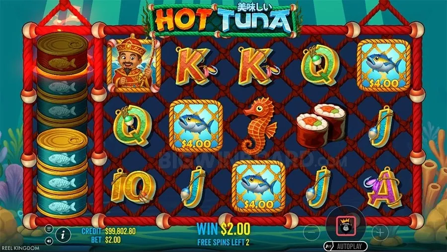 Diverse selection of casino games and promotions available after 8k8 log in